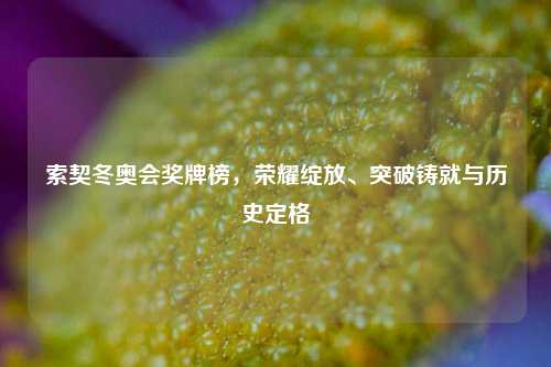 索契冬奥会奖牌榜，荣耀绽放、突破铸就与历史定格