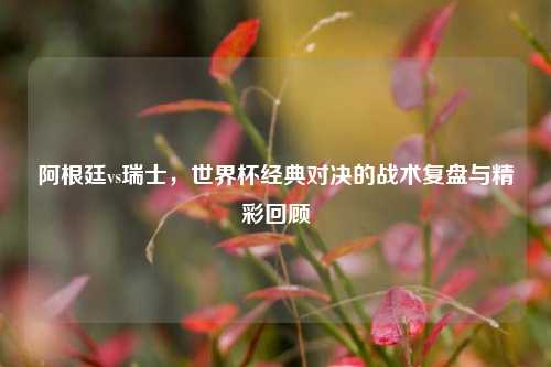 阿根廷vs瑞士，世界杯经典对决的战术复盘与精彩回顾
