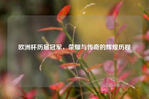 欧洲杯历届冠军，荣耀与传奇的辉煌历程