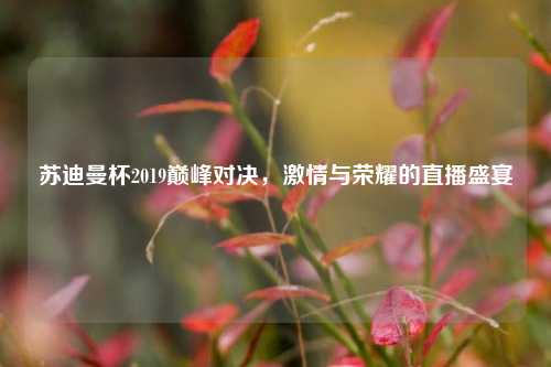 苏迪曼杯2019巅峰对决，激情与荣耀的直播盛宴
