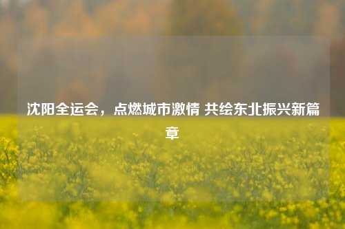 沈阳全运会，点燃城市激情 共绘东北振兴新篇章