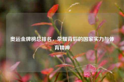 奥运金牌榜总排名，荣耀背后的国家实力与体育精神