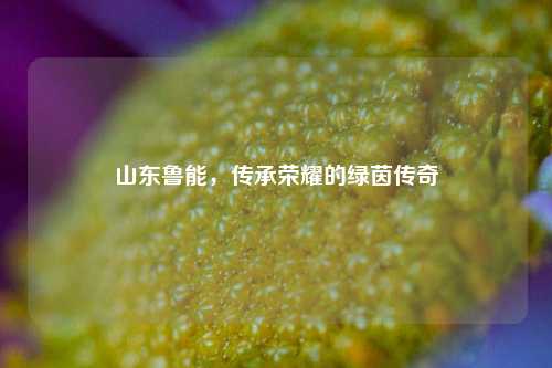 山东鲁能，传承荣耀的绿茵传奇