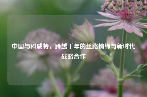 中国与科威特，跨越千年的丝路情缘与新时代战略合作
