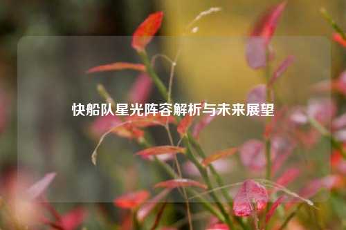 快船队星光阵容解析与未来展望