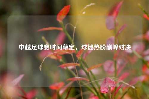中越足球赛时间敲定，球迷热盼巅峰对决
