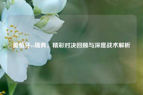 葡萄牙vs瑞典，精彩对决回顾与深度战术解析