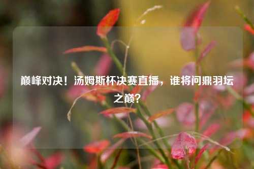 巅峰对决！汤姆斯杯决赛直播，谁将问鼎羽坛之巅？