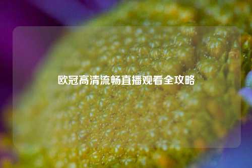 欧冠高清流畅直播观看全攻略