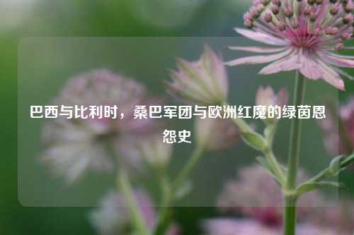 巴西与比利时，桑巴军团与欧洲红魔的绿茵恩怨史