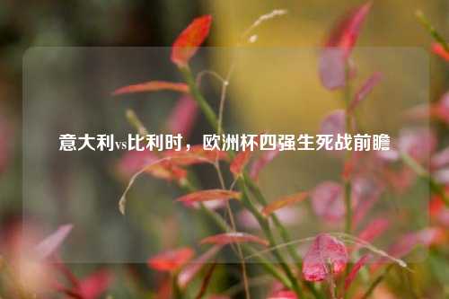 意大利vs比利时，欧洲杯四强生死战前瞻