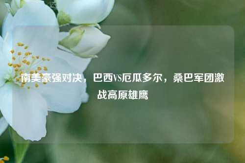 南美豪强对决，巴西VS厄瓜多尔，桑巴军团激战高原雄鹰