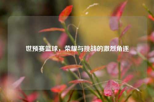 世预赛篮球，荣耀与挑战的激烈角逐