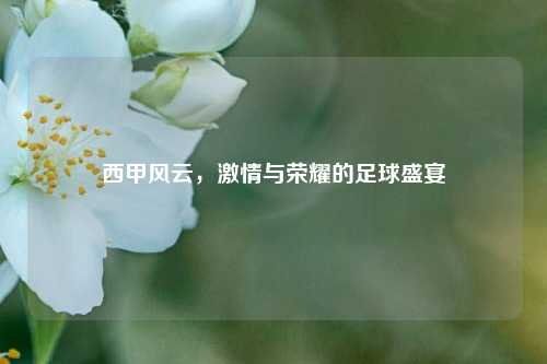 西甲风云，激情与荣耀的足球盛宴