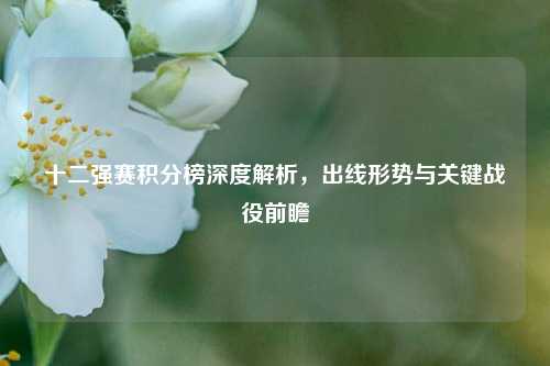 十二强赛积分榜深度解析，出线形势与关键战役前瞻