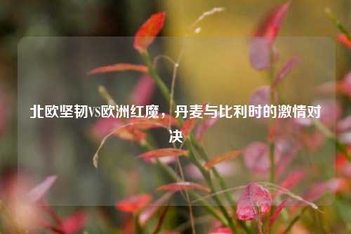 北欧坚韧VS欧洲红魔，丹麦与比利时的激情对决