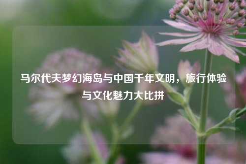 马尔代夫梦幻海岛与中国千年文明，旅行体验与文化魅力大比拼