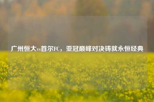 广州恒大vs首尔FC，亚冠巅峰对决铸就永恒经典