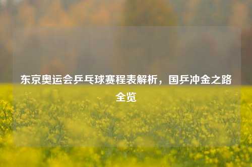 东京奥运会乒乓球赛程表解析，国乒冲金之路全览
