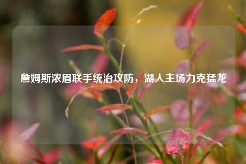 詹姆斯浓眉联手统治攻防，湖人主场力克猛龙