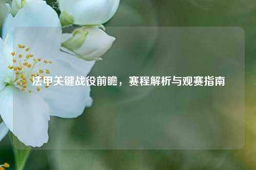 法甲关键战役前瞻，赛程解析与观赛指南