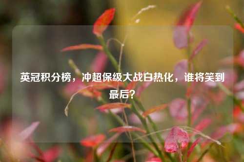 英冠积分榜，冲超保级大战白热化，谁将笑到最后？