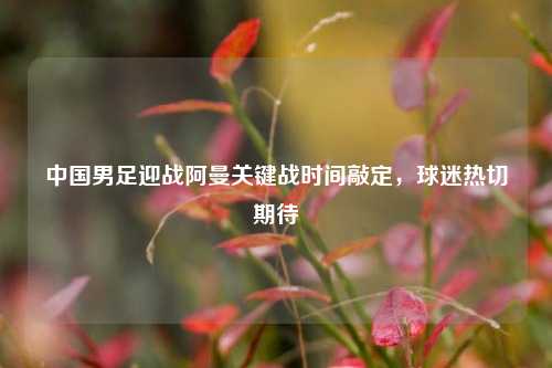 中国男足迎战阿曼关键战时间敲定，球迷热切期待
