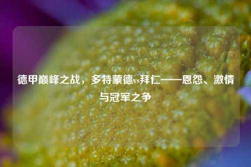 德甲巅峰之战，多特蒙德vs拜仁——恩怨、激情与冠军之争