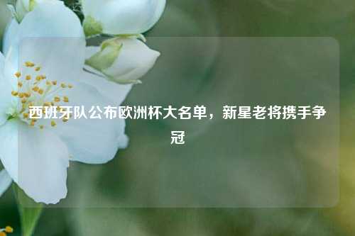 西班牙队公布欧洲杯大名单，新星老将携手争冠
