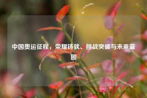 中国奥运征程，荣耀铸就、挑战突破与未来蓝图