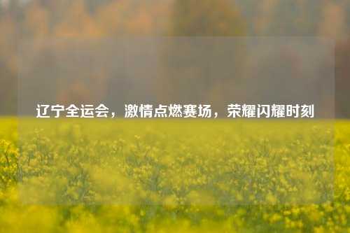 辽宁全运会，激情点燃赛场，荣耀闪耀时刻