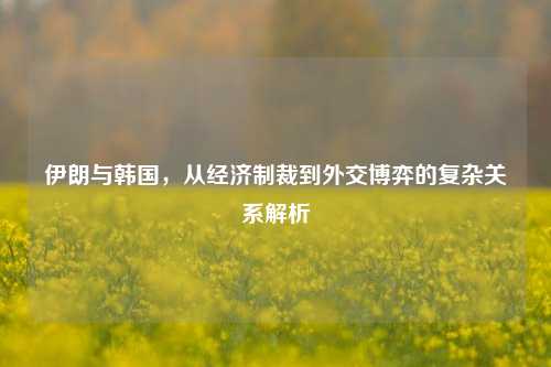 伊朗与韩国，从经济制裁到外交博弈的复杂关系解析