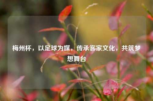 梅州杯，以足球为媒，传承客家文化，共筑梦想舞台
