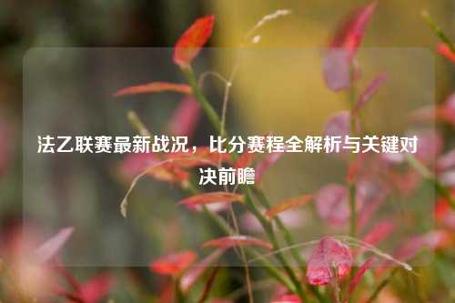 法乙联赛最新战况，比分赛程全解析与关键对决前瞻