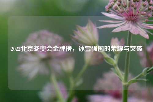 2022北京冬奥会金牌榜，冰雪强国的荣耀与突破