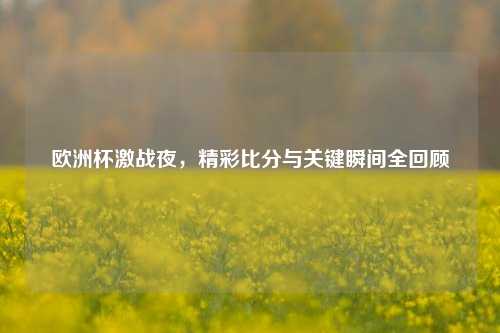 欧洲杯激战夜，精彩比分与关键瞬间全回顾