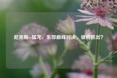 尼克斯vs猛龙，东部巅峰对决，谁将胜出？