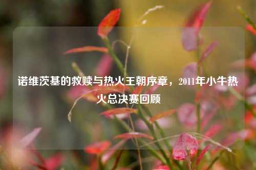 诺维茨基的救赎与热火王朝序章，2011年小牛热火总决赛回顾