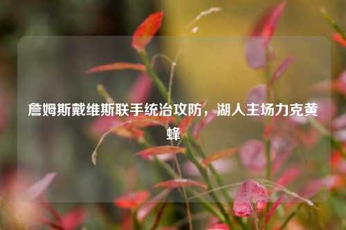 詹姆斯戴维斯联手统治攻防，湖人主场力克黄蜂