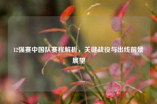 12强赛中国队赛程解析，关键战役与出线前景展望