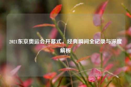 2021东京奥运会开幕式，经典瞬间全记录与深度解析