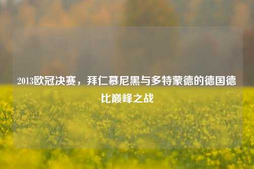 2013欧冠决赛，拜仁慕尼黑与多特蒙德的德国德比巅峰之战