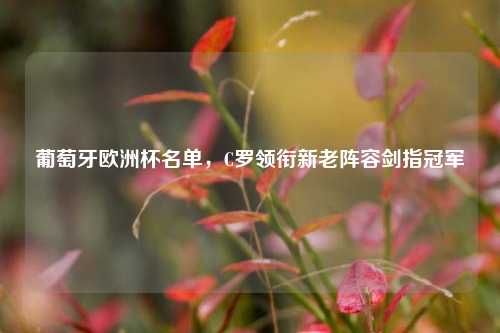 葡萄牙欧洲杯名单,C罗领衔新老阵容剑指冠军