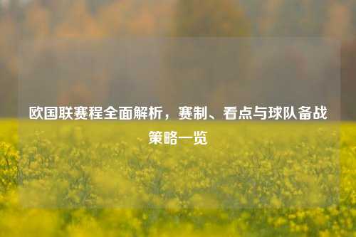 欧国联赛程全面解析,赛制、看点与球队备战策略一览