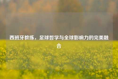 西班牙教练,足球哲学与全球影响力的完美融合