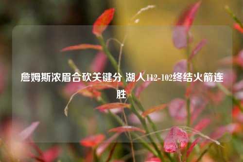 詹姆斯浓眉合砍关键分 湖人112-102终结火箭连胜