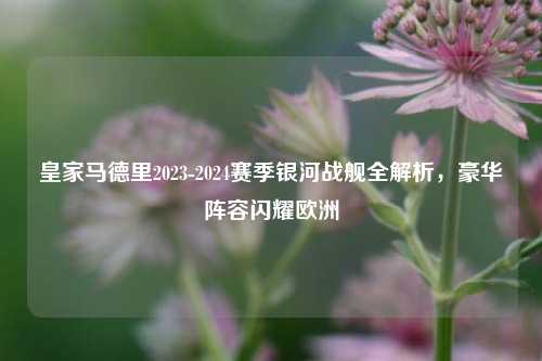 皇家马德里2023-2024赛季银河战舰全解析，豪华阵容闪耀欧洲