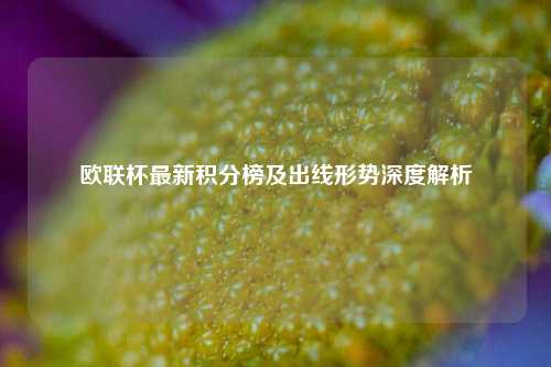 欧联杯最新积分榜及出线形势深度解析