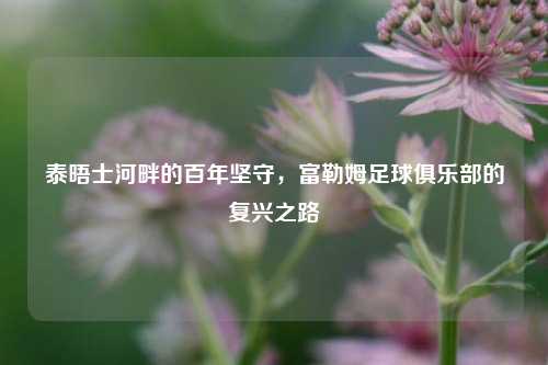 泰晤士河畔的百年坚守，富勒姆足球俱乐部的复兴之路
