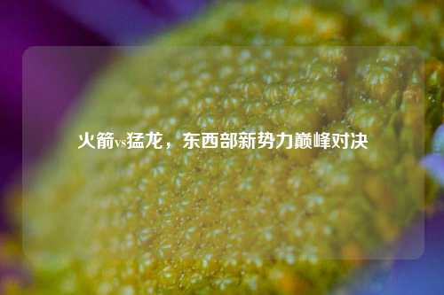 火箭vs猛龙，东西部新势力巅峰对决